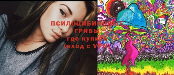 ПСИЛОЦИБИНОВЫЕ ГРИБЫ Аркадак