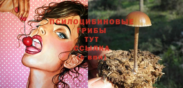 а пвп мука Арсеньев
